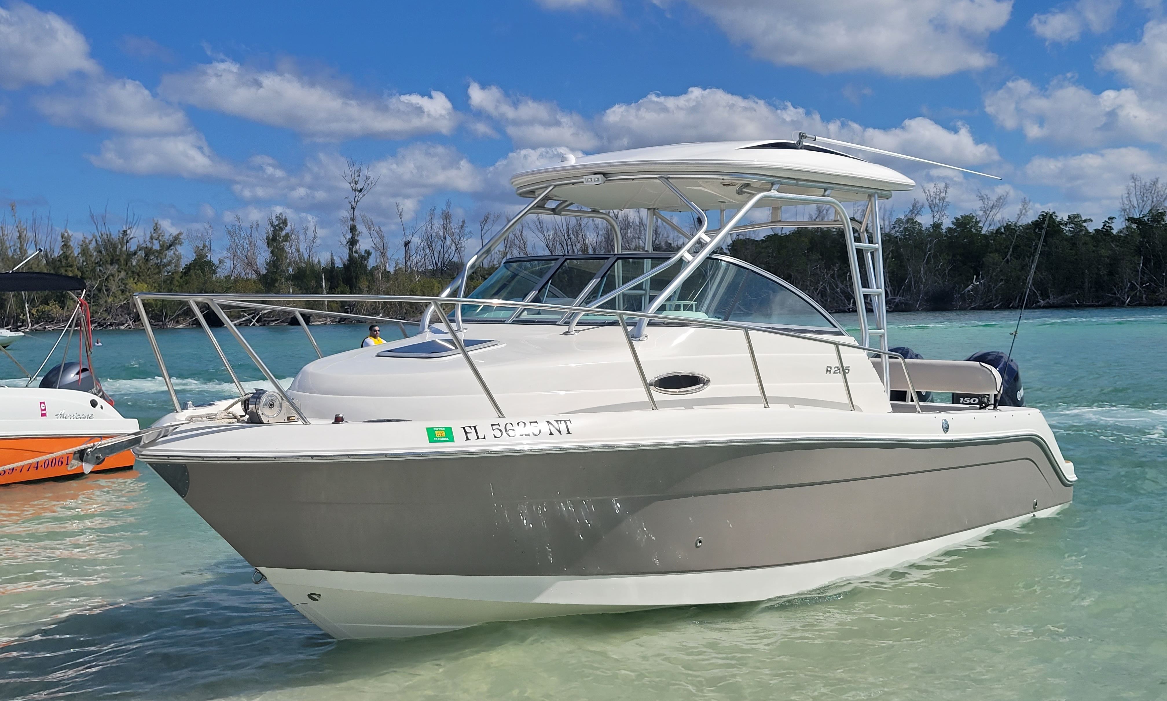 Robalo R245