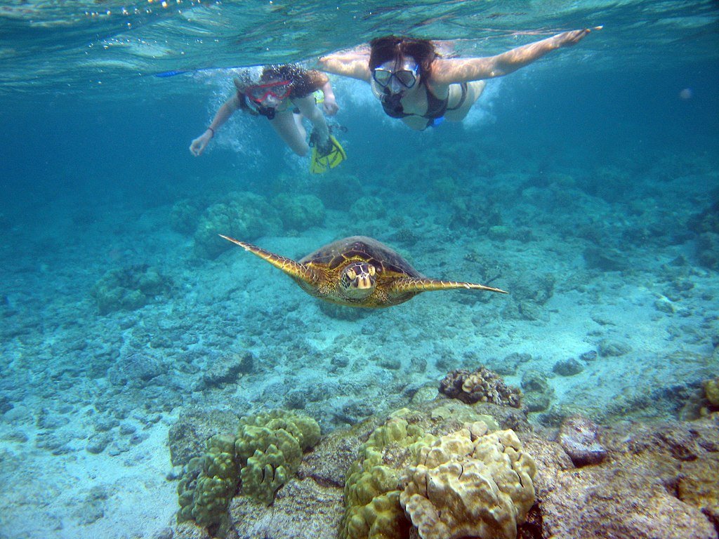 John Pennekamp State Park: A Gateway to Florida's Underwater Wilderness