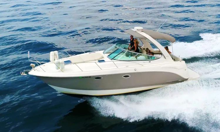 Chaparral Boats Signature 310