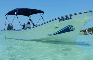 Cobalt 252