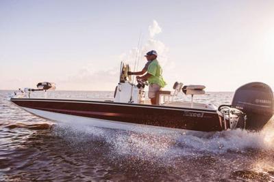 Excel Bay Pro Elite 203