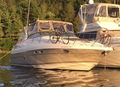Regal 3560 Commandor