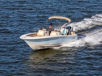 Scout 195 Sport Dorado