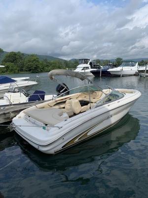 Sea Ray 190 BR