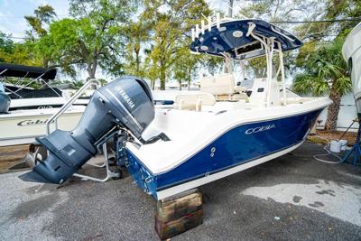 Cobia 237