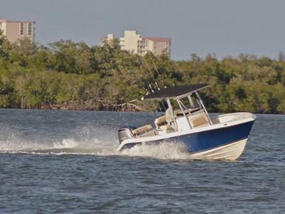 Cobia 237CC