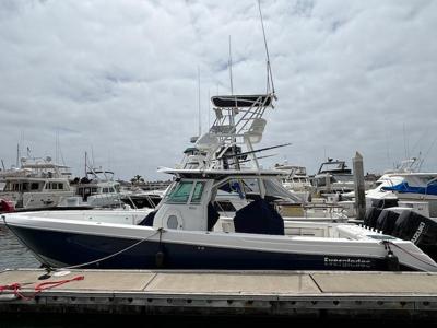 Everglades 350 CC