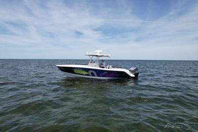 Robalo 300 Robalo