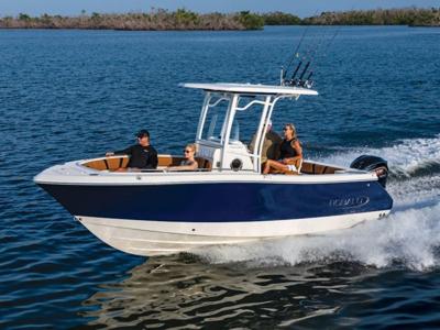 Robalo R230