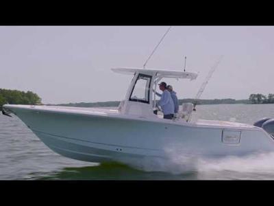Sea Hunt 305 SE