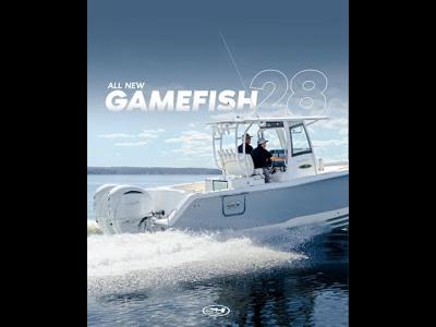 Sea Hunt Gamefish 28 CB