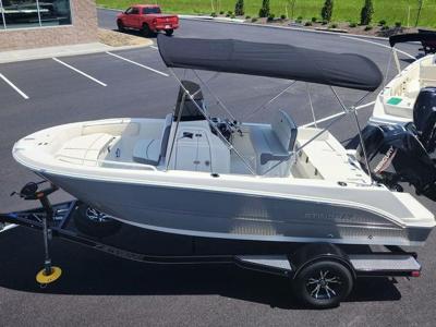Stingray 173 CC