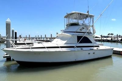 Bertram 35 Convertible