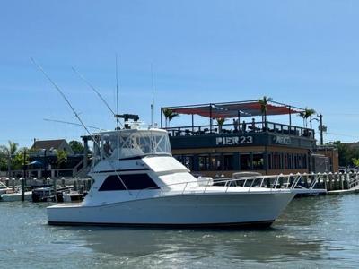 Viking 43 Convertible