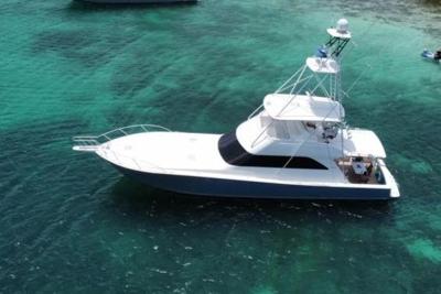 Viking 61