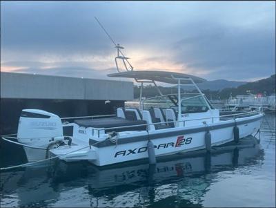 Axopar 28 TTop
