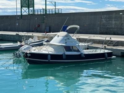 Bertram 31
