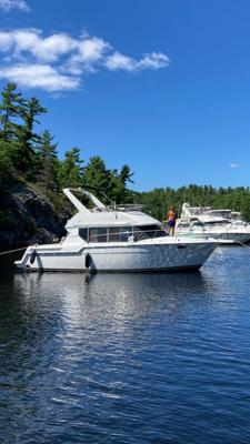 Carver 320 Voyager