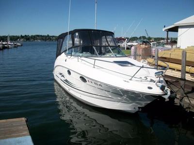 Chaparral 250 Signature