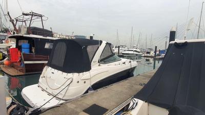 Chaparral 280 Signature
