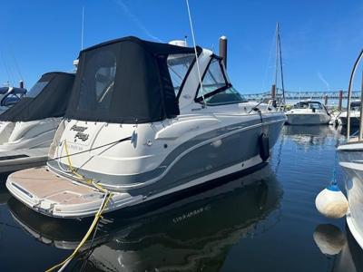 Chaparral 290 Signature
