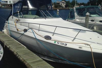 Cruisers Yachts 2870 Rogue