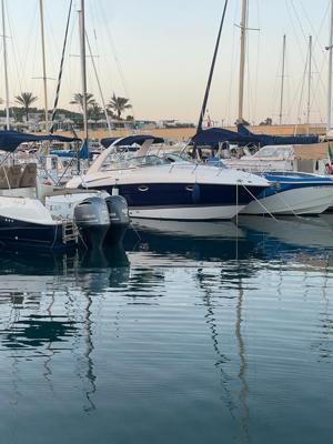 Monterey 295