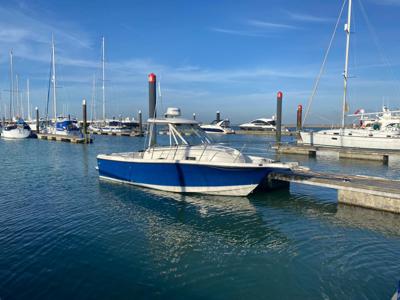 Bayliner 2352 Trophy Walkaround