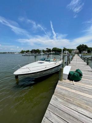 Sea Ray 260