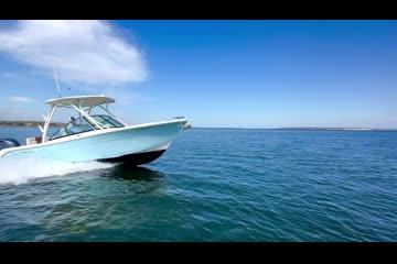 Cobia 240 Dual Console