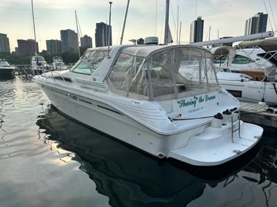 Sea Ray  Ray