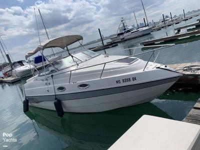 Stingray 240 CS