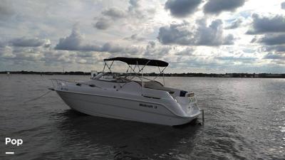 Wellcraft 2600 Martinique