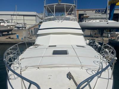 Bertram 43 Convertible