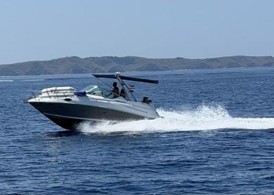 Sea Ray 245 Sundancer