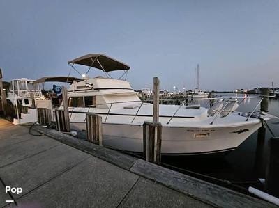 Viking 43 Double Cabin Motor Yacht