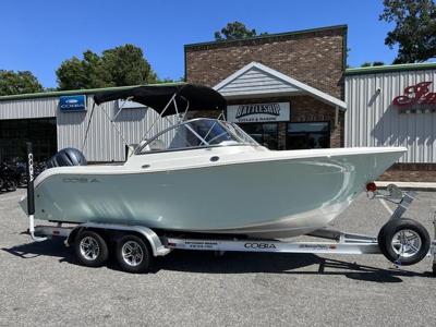 Cobia 220 DC
