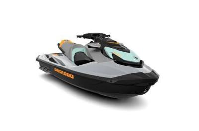 Sea GTI SE 170 Tech, Audio, iDF, iBR
