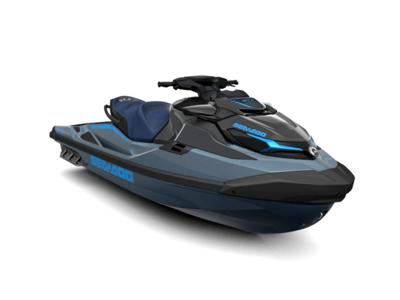 Sea GTX™ 230 iBR and iDF