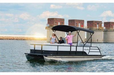 Bentley Pontoons Legacy 243 Swingback