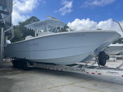 Invincible 33' Catamaran