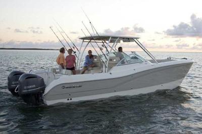 World Cat 295 DC