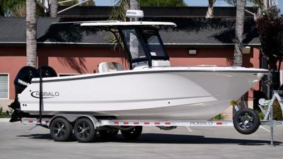 Robalo R250 Center Console