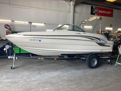 Sea Ray 190 Sundeck