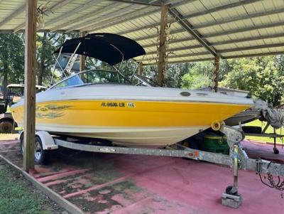 Sea Ray 205 Sport