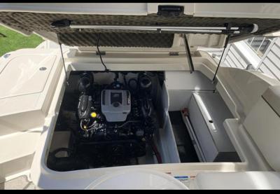 Sea Ray 260 Sundeck