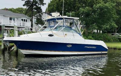 Aquasport 275 Explorer