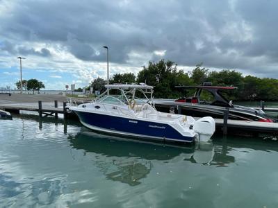 Wellcraft 290 Coastal