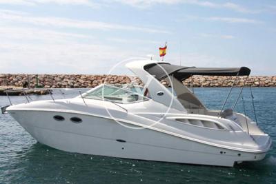 Sea Ray 290 Sundancer