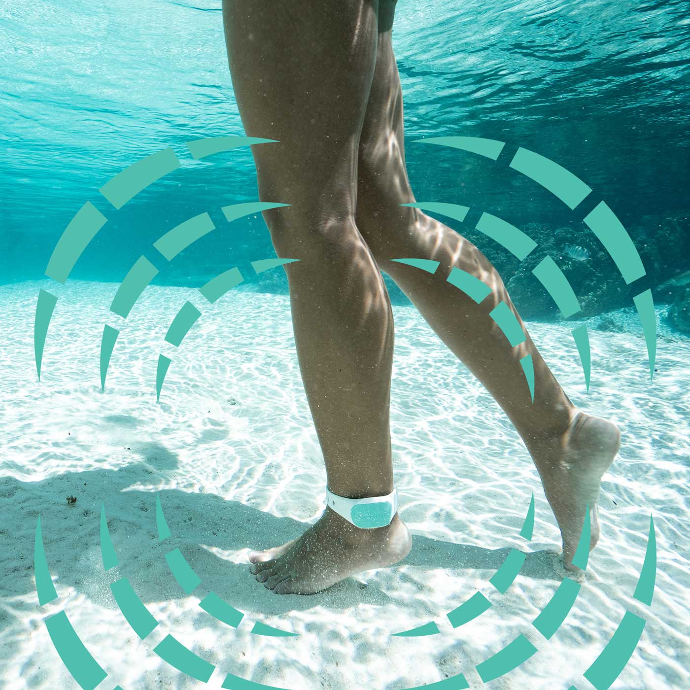 Sharkbanz: The Ultimate Guide to Shark Protection Technology